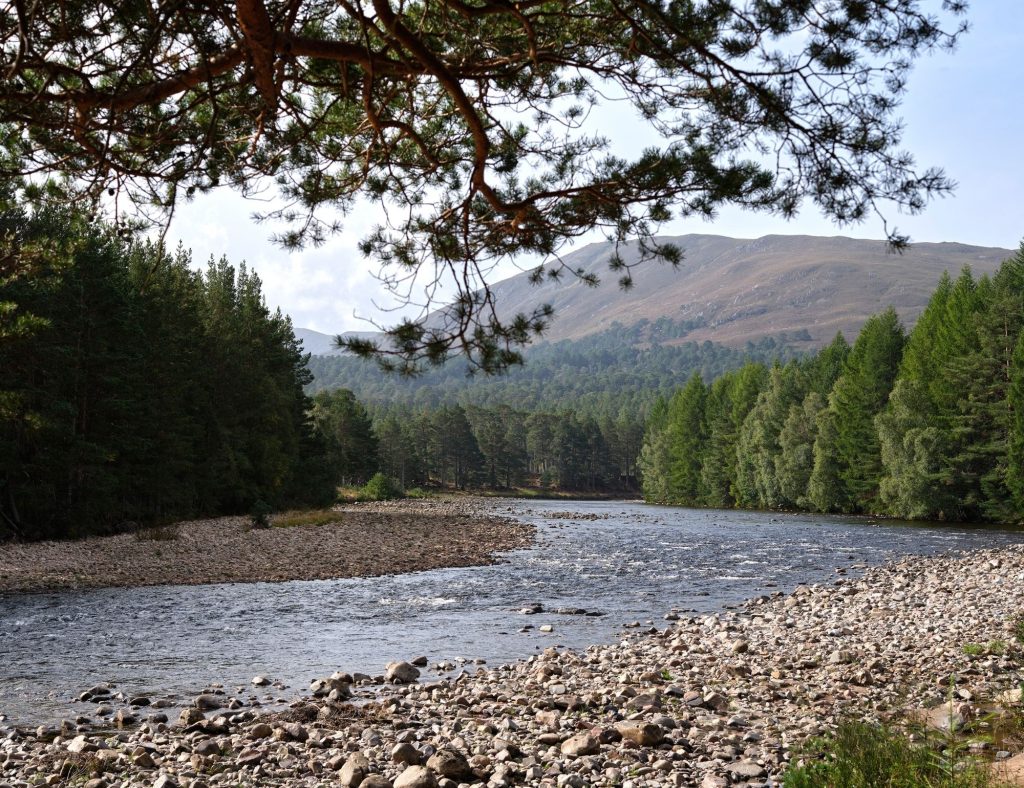 A river winds through a rocky shoreline surrounded by dense green trees, with mountains rising in the background under a partly cloudy sky.